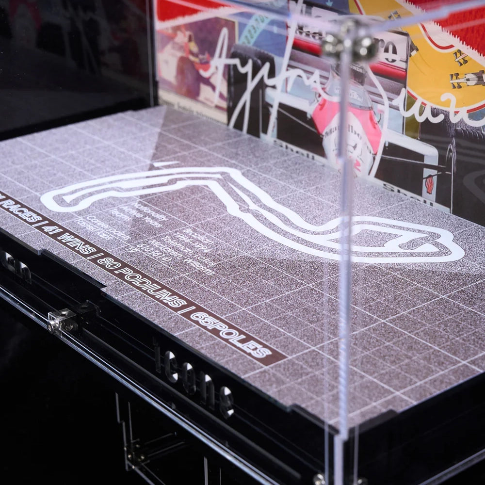 Display case for Lego ICONS in home
