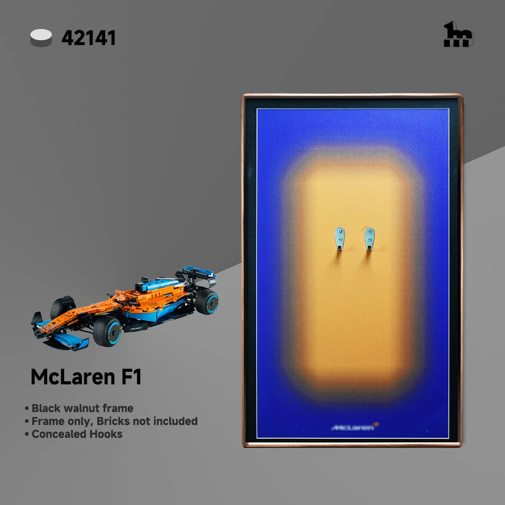 【Final Sale】LEGO® Wall Display Frame Models Clearance