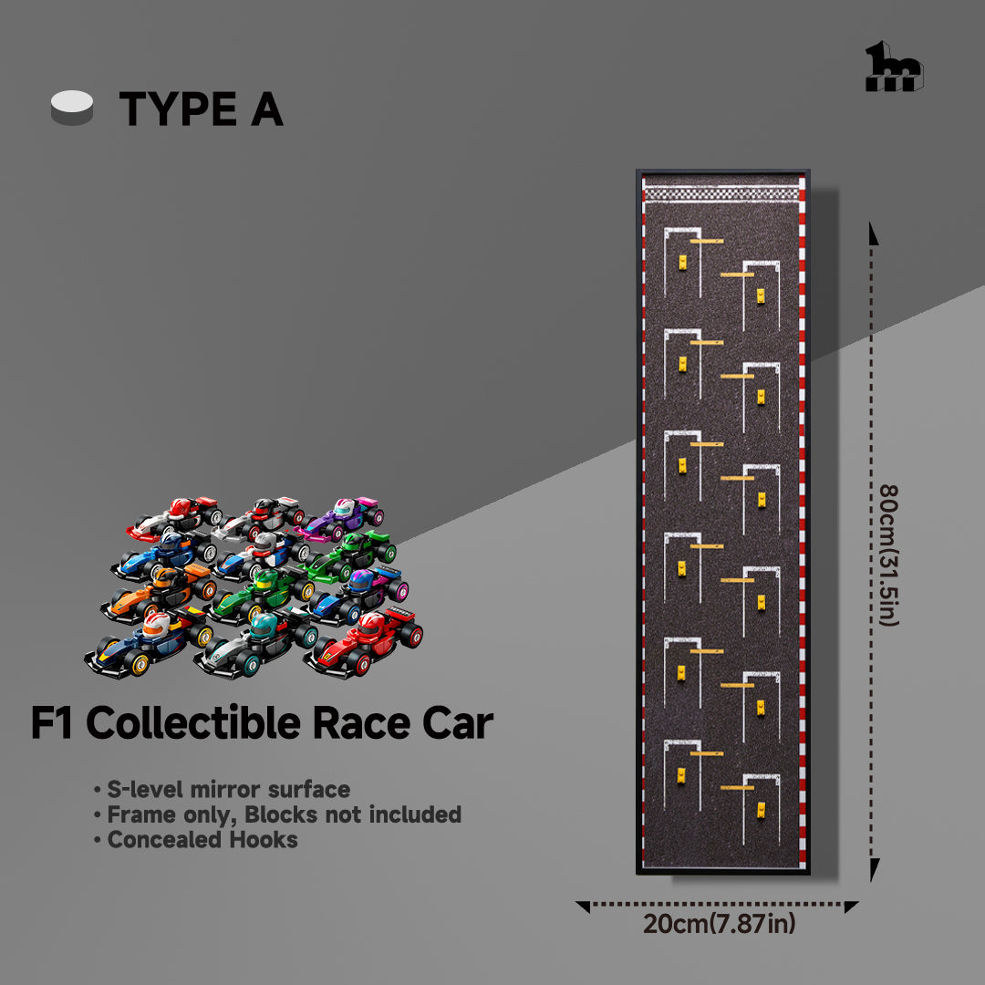 F1 collectble Race Car display wall mount frame TYPE A