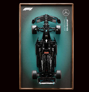 LEGO® Technic™ F1 Series Wall Display Frame