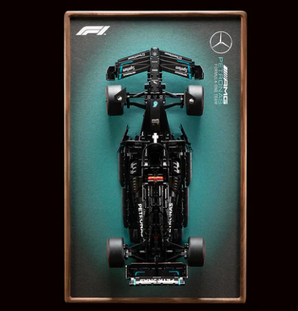 LEGO® Technic™ F1 Series Wall Display Frame