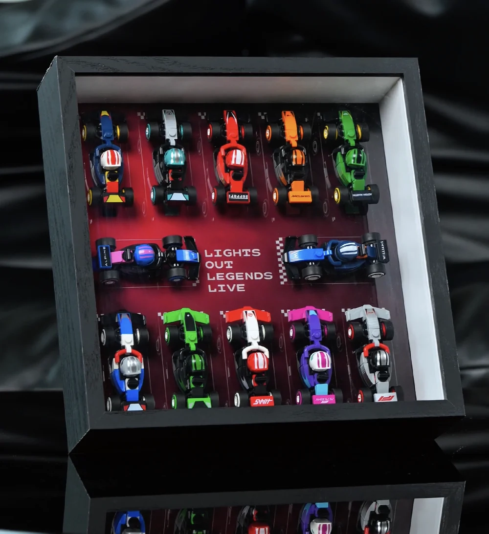 LEGO® F1® Race Cars display case in home