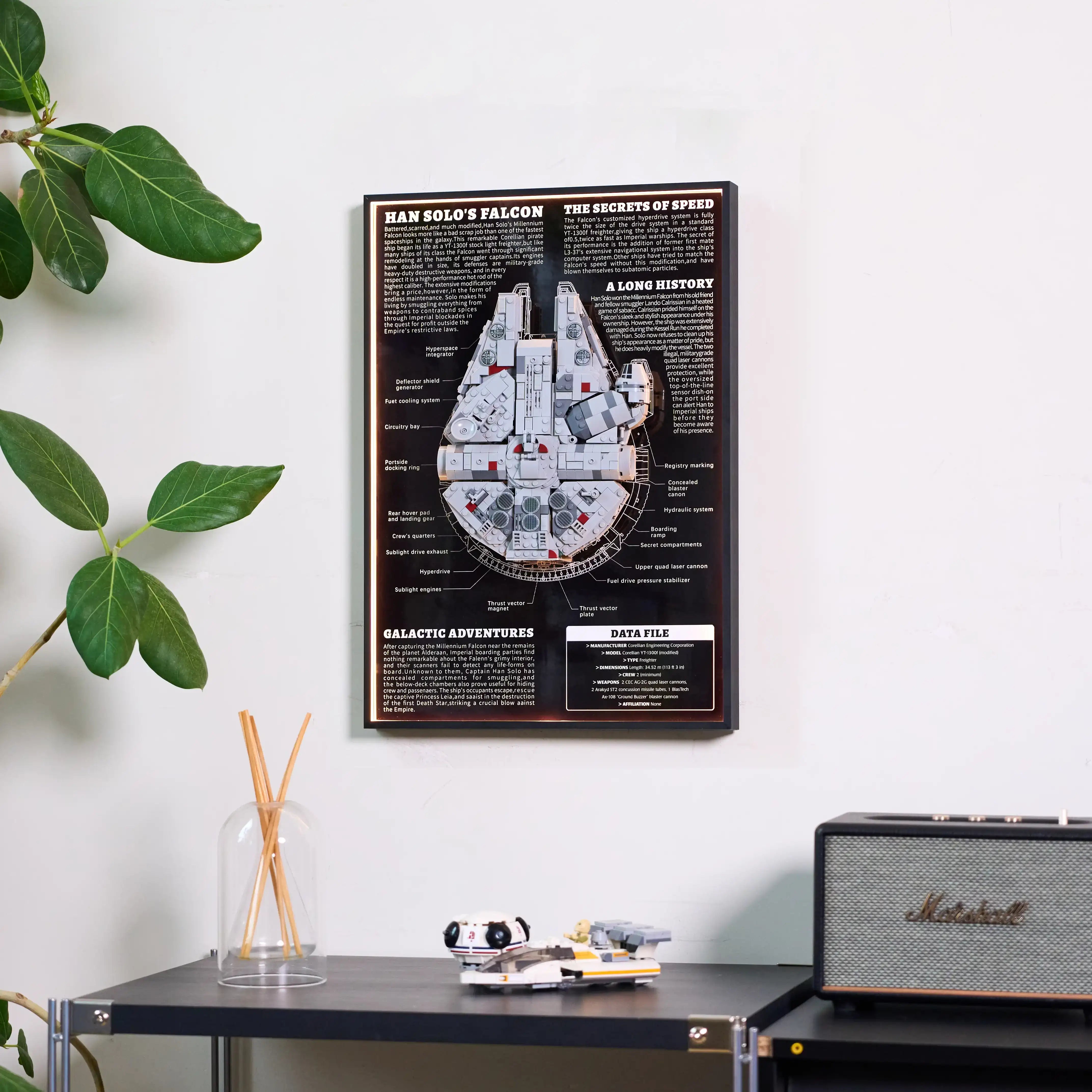 Wall Display frame for LEGO® Star Wars™ 75375 Millennium Falcon™