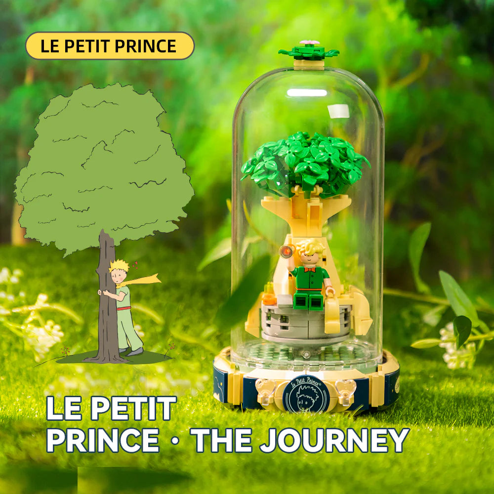PAN TASY™ Le Petit Prince Building Blocks